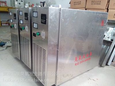 遂宁移动式臭氧发生器/汇康四川遂宁食品厂臭氧发生器