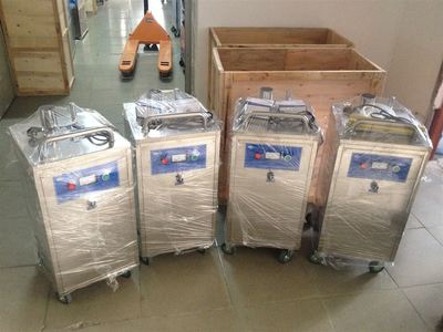 HW-Kw-FL-20G-20g食品厂中央空调风冷外置式臭氧发生器-广州市环伟环保科技