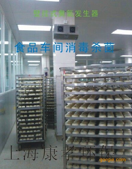 壁挂式臭氧发生器-壁挂式臭氧发生器